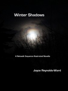 winter shadows cover