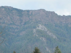 img_3221