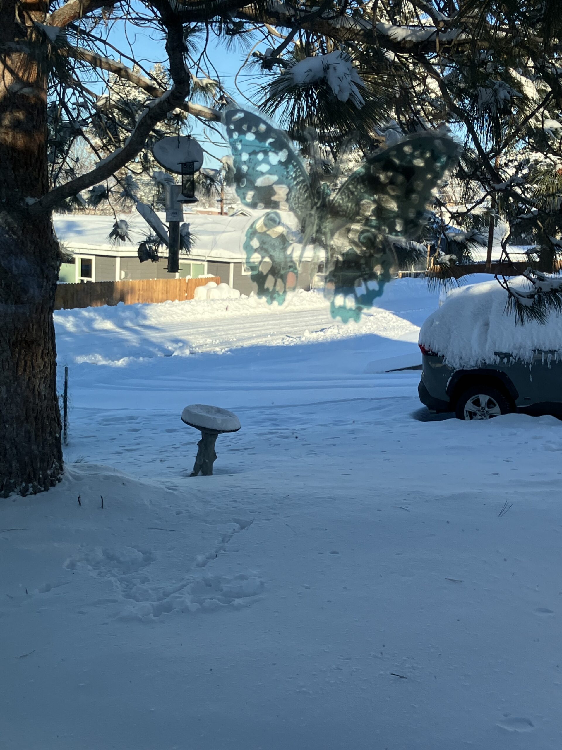 Winter 2025…so far