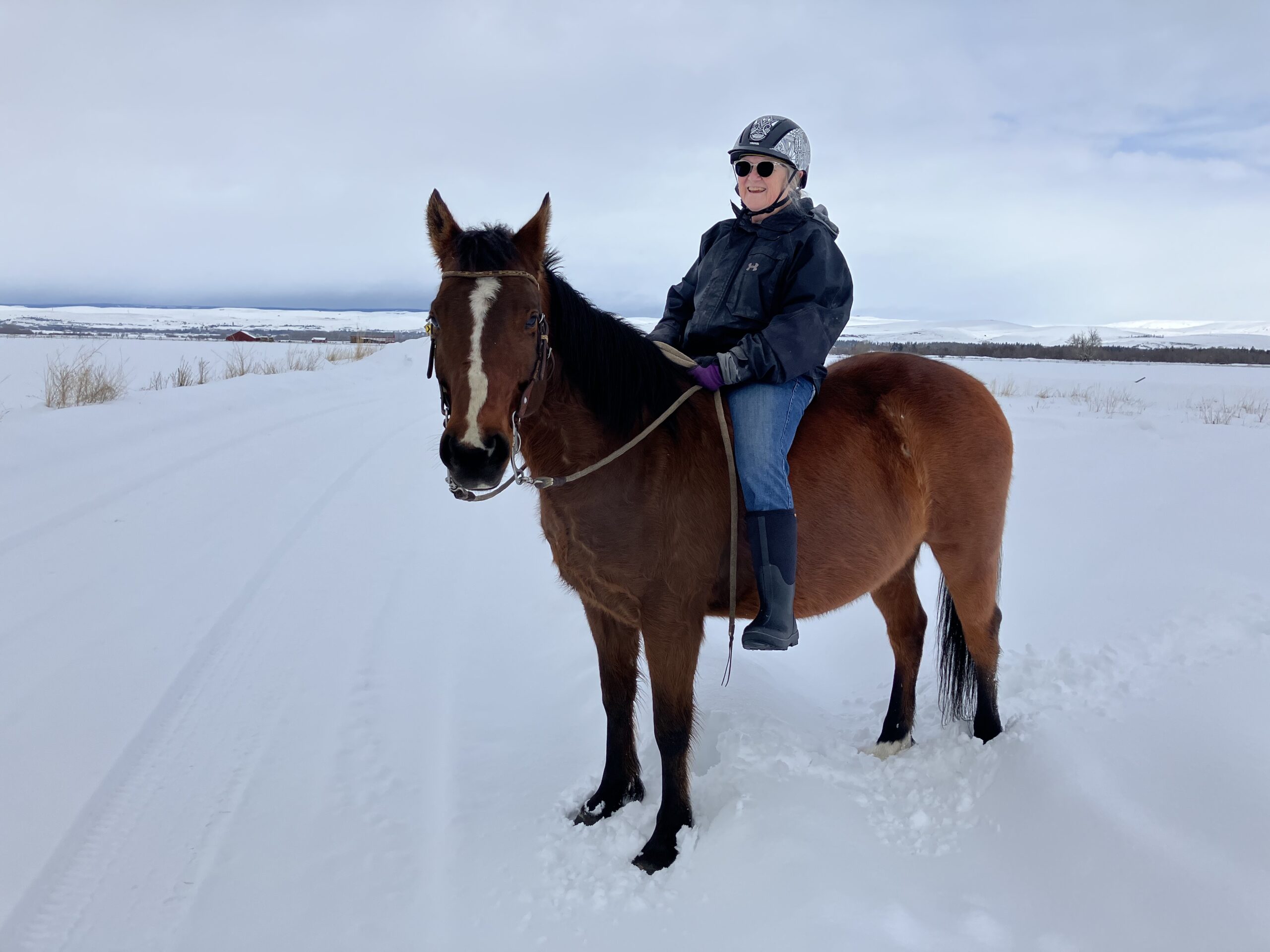 Winter Riding