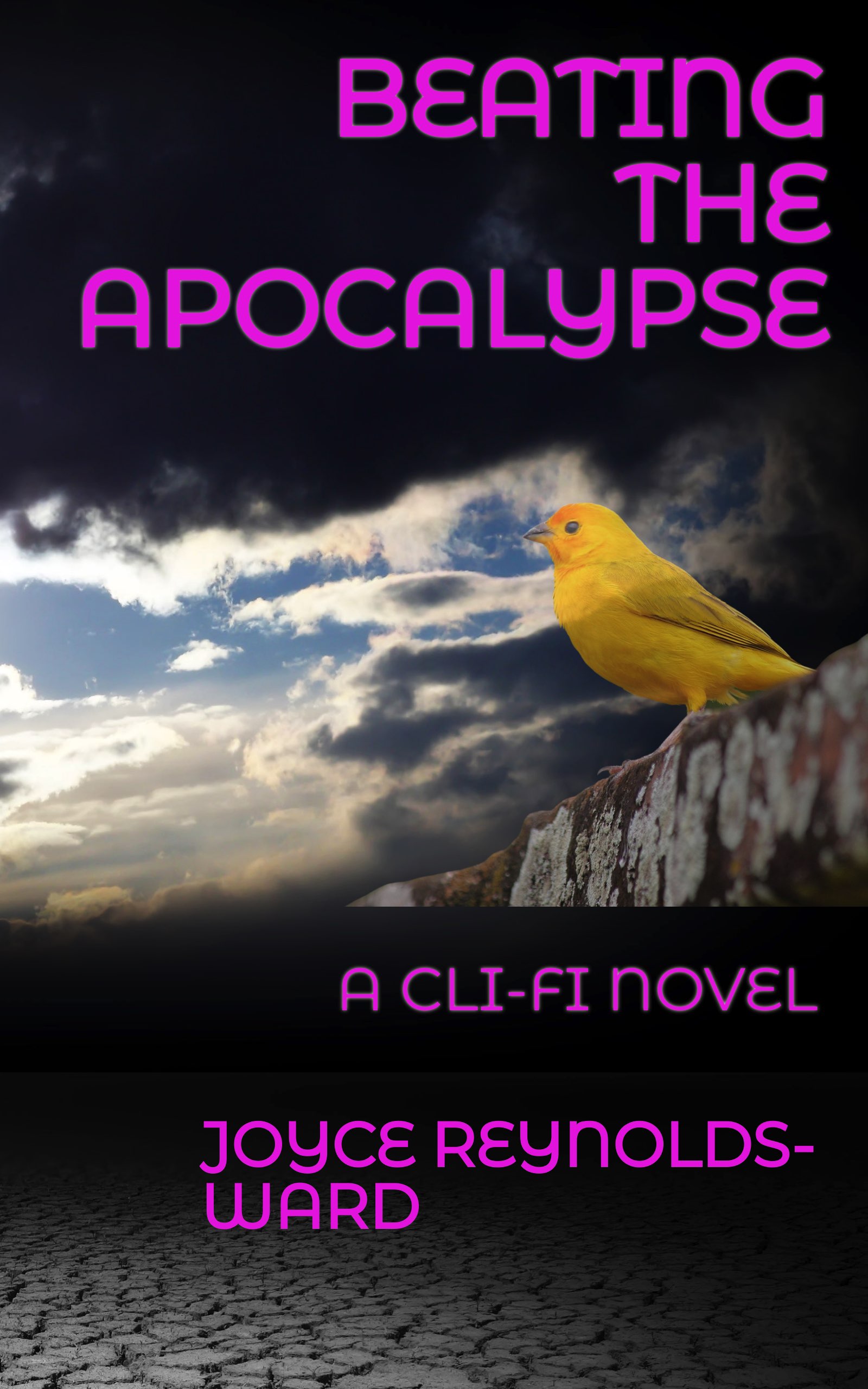 An Introduction to Beating the Apocalypse